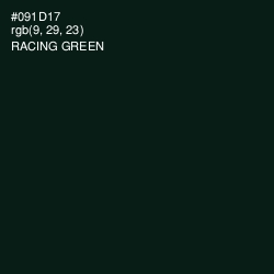 #091D17 - Racing Green Color Image